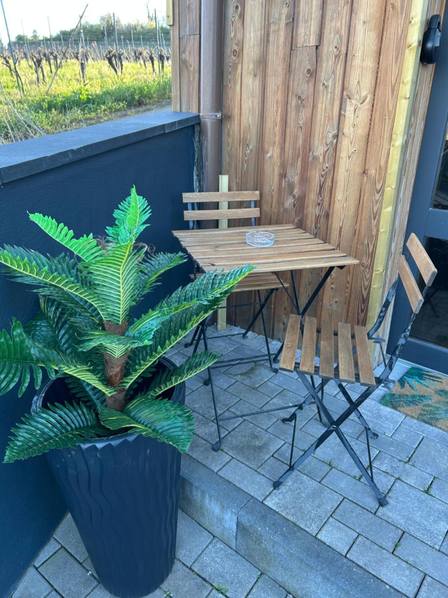 Suite Liana - Spa- Sauna Rorschwihr Εξωτερικό φωτογραφία